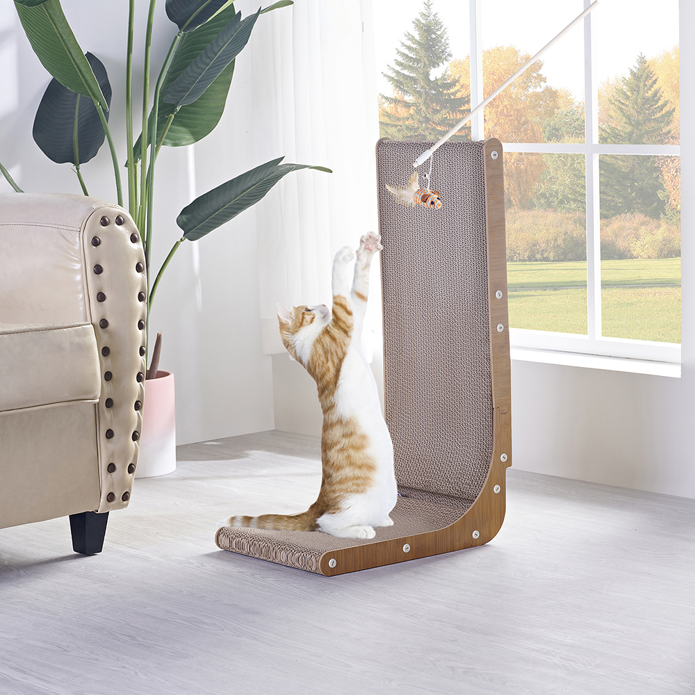 CAT SCRATCHING BOARD PHOTOGRAPHY SERVICES