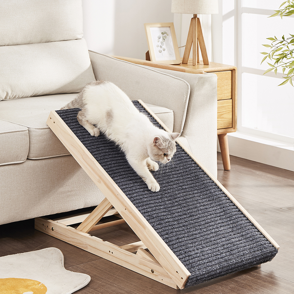 Cat bed product photography