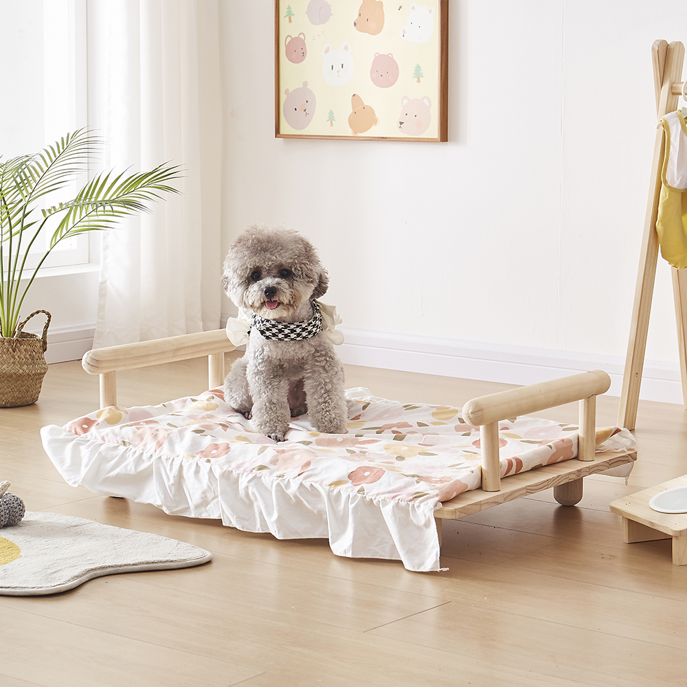 Pet bed product photography