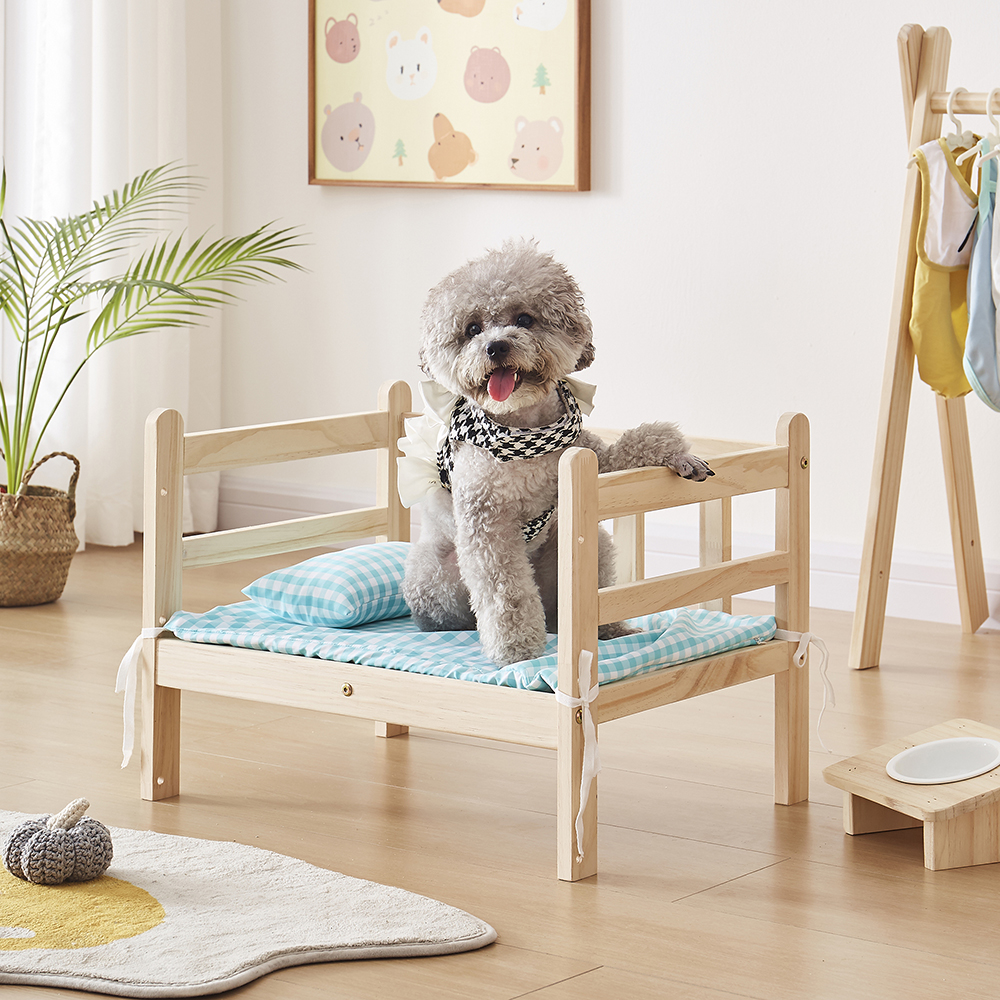 Pet bed product photography